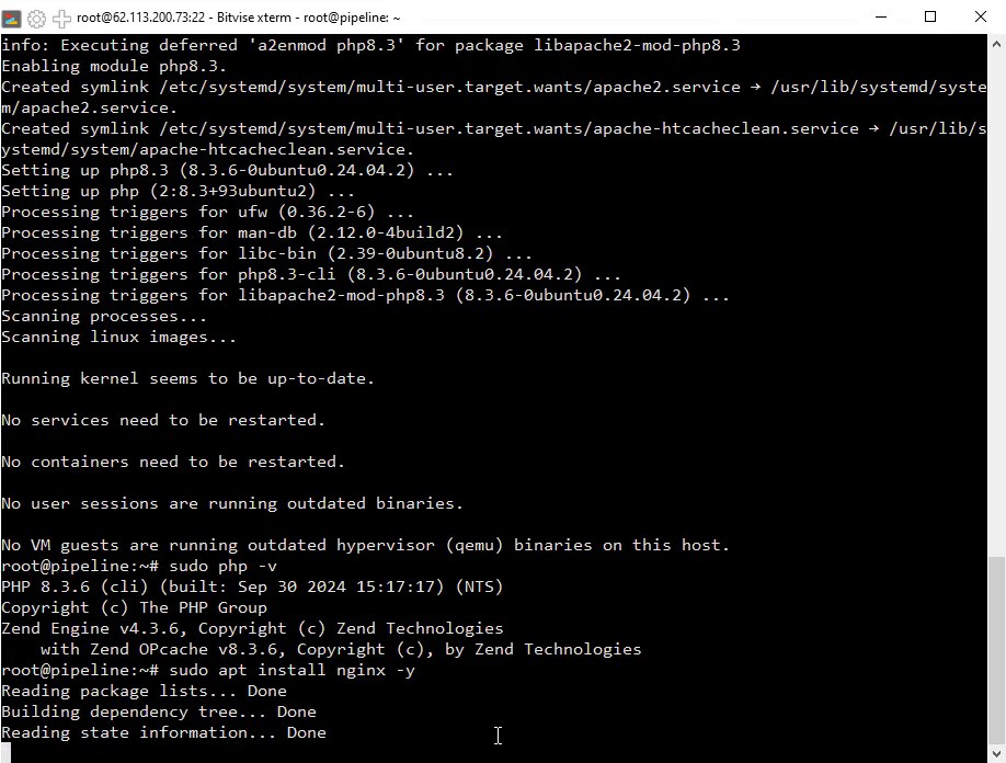 Step 3: Verify PHP Installation & Install Nginx - Setting Up a CMS Web Development Environment on a VPS